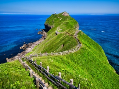 積丹ブルー・神威岬の絶景と小樽・富良野・美瑛 花が彩る北海道3日間 積丹ブルー・神威岬の絶景と小樽・富良野・美瑛 花が彩る北海道3日間