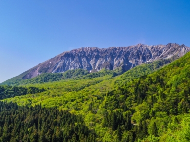 夏の高原リゾート蒜山大山・ラベンダー畑と奥大山ブナの森天然水工場・ジンギスカンランチ