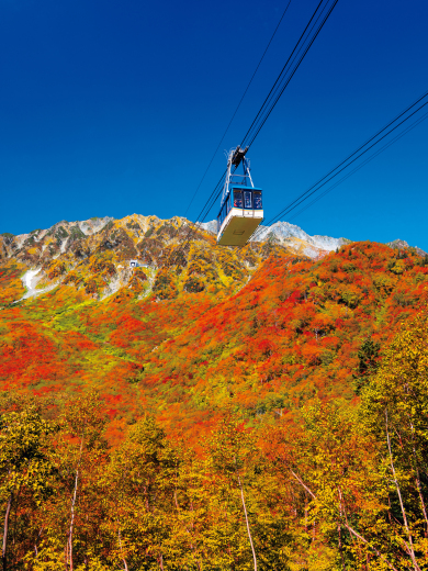 ベストシーズンに行く紅葉の立山黒部アルペンルート　3日間