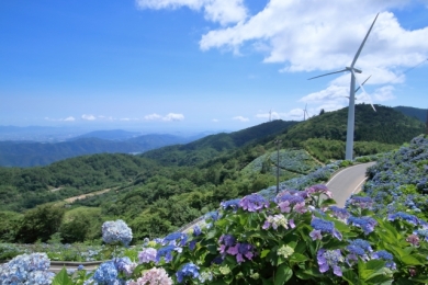 大川原高原のあじさい・日本料理　渡月「ミニ懐石」