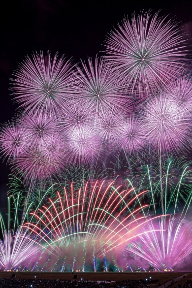 にし阿波花火(イメージ)NO5 にし阿波花火(イメージ)NO5