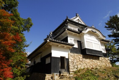 紅葉の備中松山城