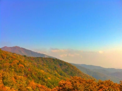 世界文化遺産「佐渡島の金山」と秋色に染まる佐渡・新潟 4日間 世界文化遺産「佐渡島の金山」と秋色に染まる佐渡・新潟 4日間