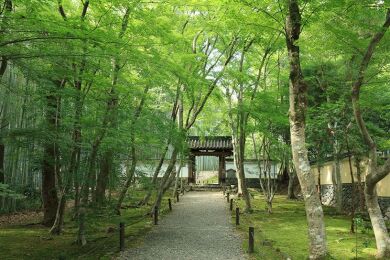 ことこと歩く古都京都2日間 ことこと歩く古都京都2日間