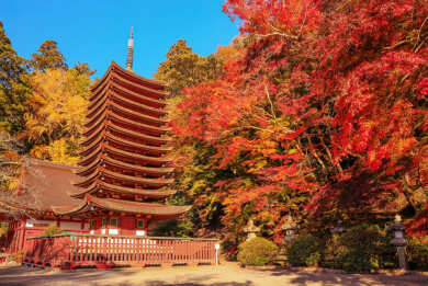 名刹が彩る紅葉の奈良2日間 名刹が彩る紅葉の奈良2日間