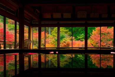 九州紅葉名所めぐり3日間 九州紅葉名所めぐり3日間