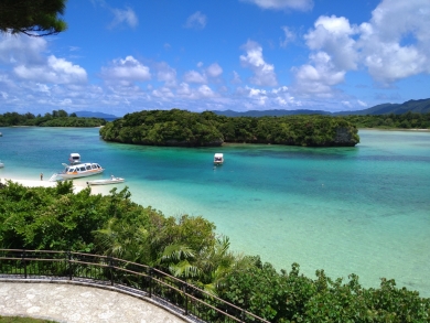 高知発着FDAチャーター直行便で行く! 石垣島・西表島・由布島の大自然満喫 3日間 高知発着FDAチャーター直行便で行く! 石垣島・西表島・由布島の大自然満喫 3日間