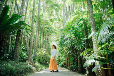 美らヤシパークオキナワ・東南植物楽園（イ