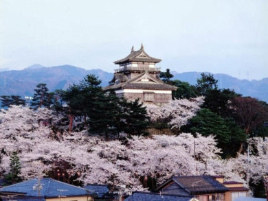 春の北陸 桜と歴史浪漫 3日間