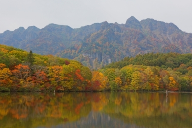 秋色に染まる美ヶ原高原･戸隠･上高地