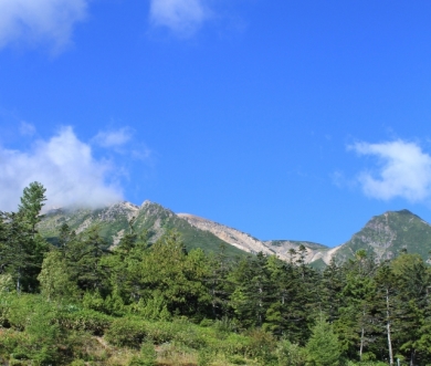 GoToトラベル <img src=