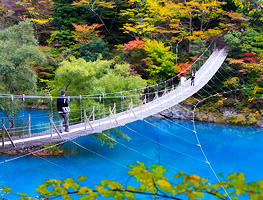 GoToトラベル <img src=