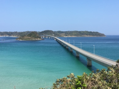 GoToトラベル <img src=