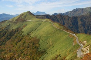 GoToトラベル <img src=