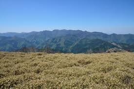 高新山巡り・四国百山(30)「塔ノ丸」 高新山巡り・四国百山(30)「塔ノ丸」