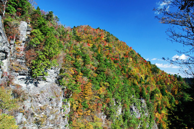 高新山巡り・四国百山（34）「八面山」