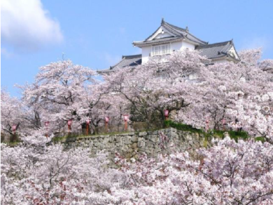 津山鶴山公園の桜とたけべの森