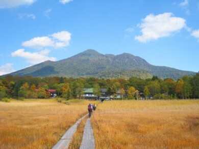 黄金色に輝く初秋の尾瀬・草紅葉ハイキング~健脚者向け‼尾瀬ヶ原・尾瀬沼通り抜け~ 3日間 黄金色に輝く初秋の尾瀬・草紅葉ハイキング~健脚者向け‼尾瀬ヶ原・尾瀬沼通り抜け~ 3日間