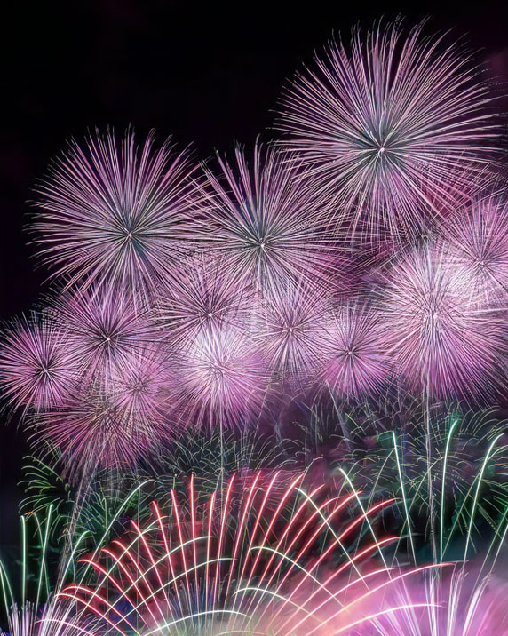 にし阿波の花火イメージ