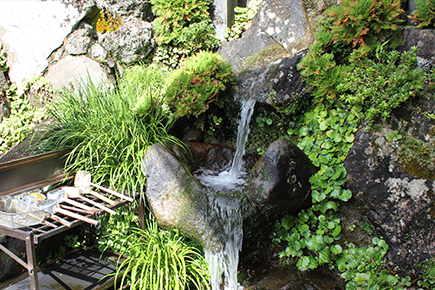 神峯寺｜神峯の水