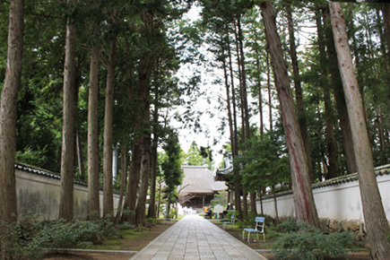 国分寺｜庭園が美しいことでも有名