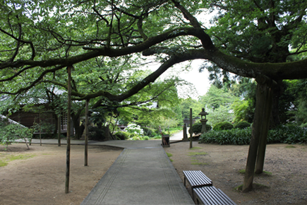 四国霊場65番｜三角寺