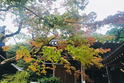 四国霊場82番｜根香寺