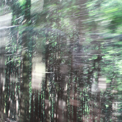 細いくねくね山道 細いくねくね山道