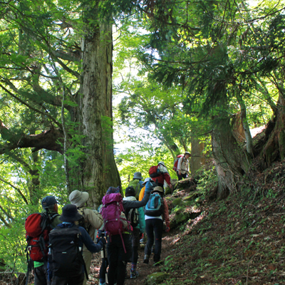 今日一番の険しい山道