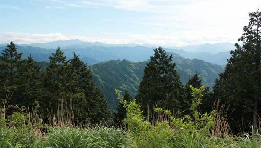 阿波富士・ツツジ咲く高越山