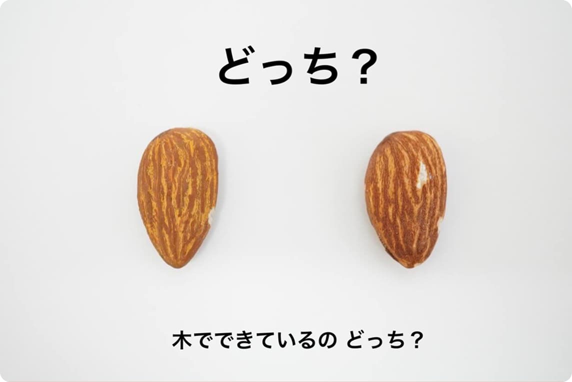 キボリノコンノ展